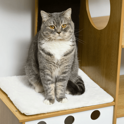 Arbre à Chat - PurrNestTree™ - Chat Plaisir