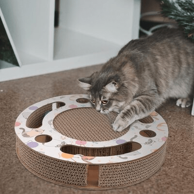 Grattoir Chat - PurrRoundScratcher™ - Chats & Balles - Chat Plaisir