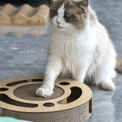 Grattoir Chat - PurrRoundScratcher™ - Minimaliste - Chat Plaisir