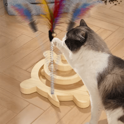 Jouet en Bois - SpinningCatToy™ - Grenouille - Chat Plaisir