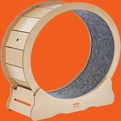 Roue Chat - KittyTread™ - Beige - Chat Plaisir