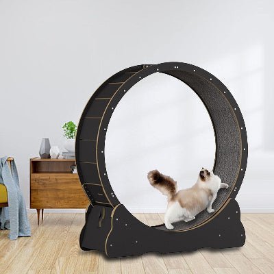 Roue Chat - KittyTread™ - Noir - Chat Plaisir