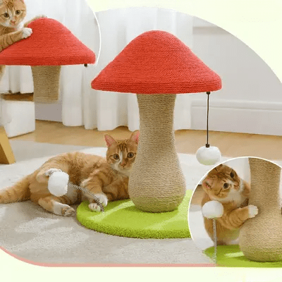 Arbre à Chat - MushroomCatTower™ - Chat Plaisir