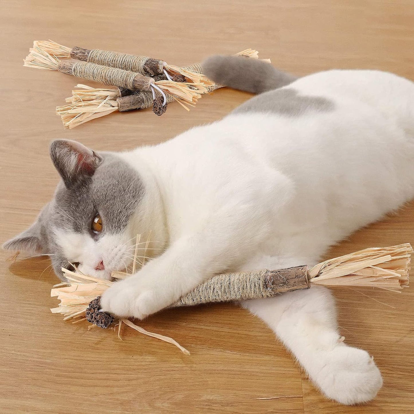 Bâton à mâcher pour chat - PurrStick™ - Chat Plaisir