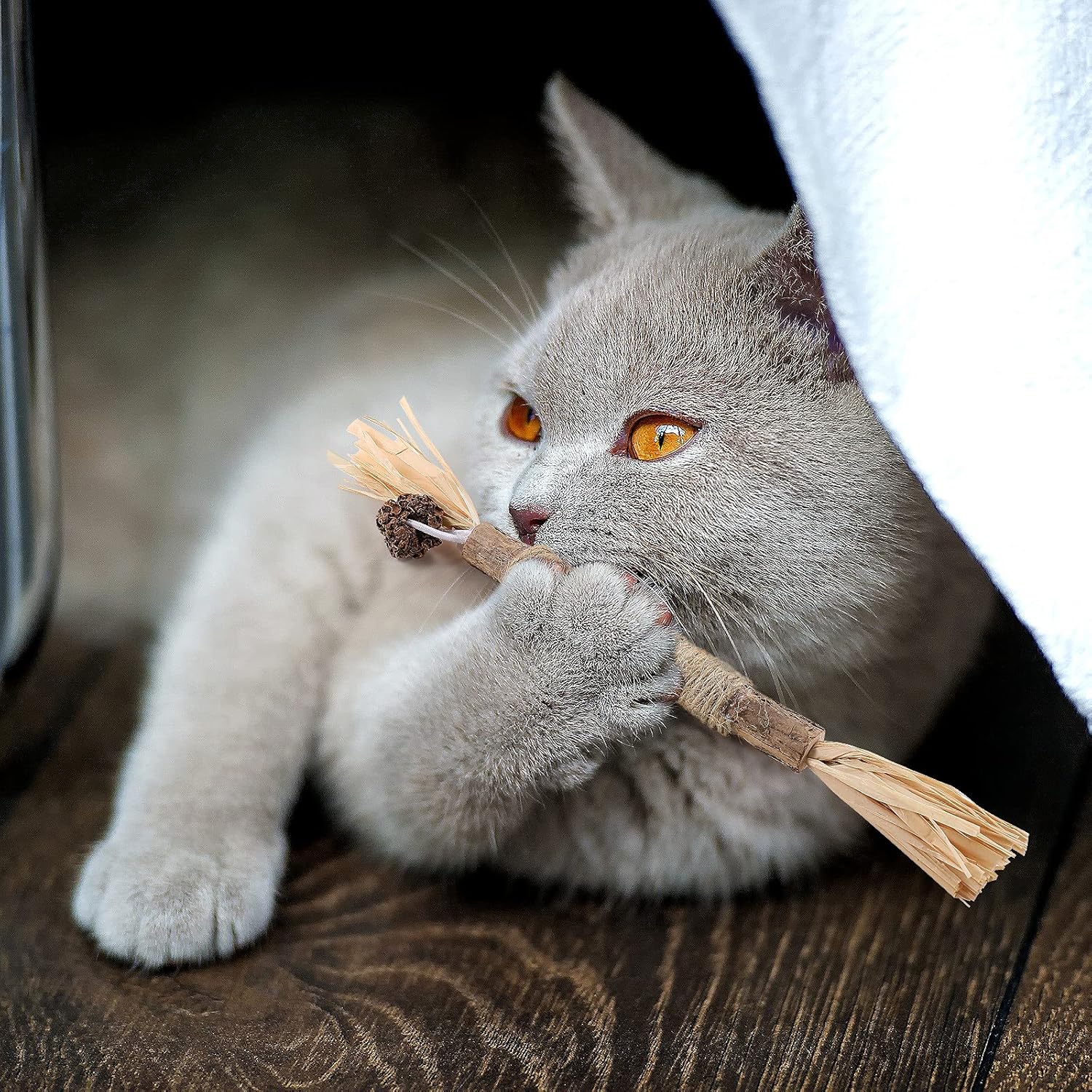 Bâton à mâcher pour chat - PurrStick™ - Chat Plaisir