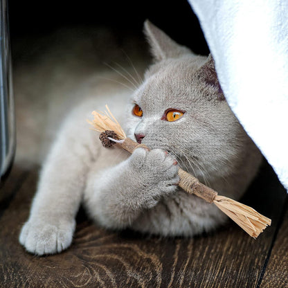 Bâton à mâcher pour chat - PurrStick™ - Chat Plaisir