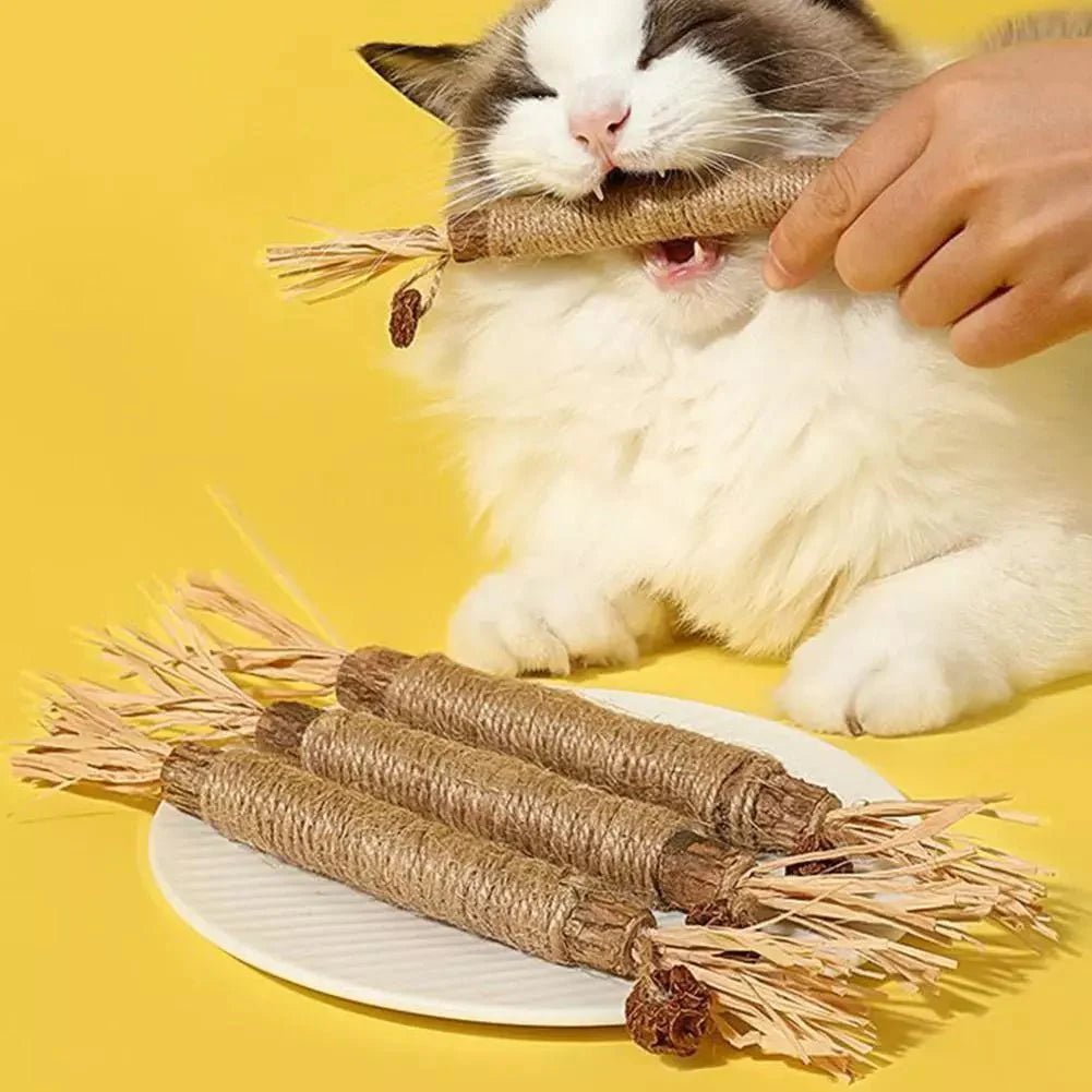 Bâton à mâcher pour chat - PurrStick™ - Chat Plaisir