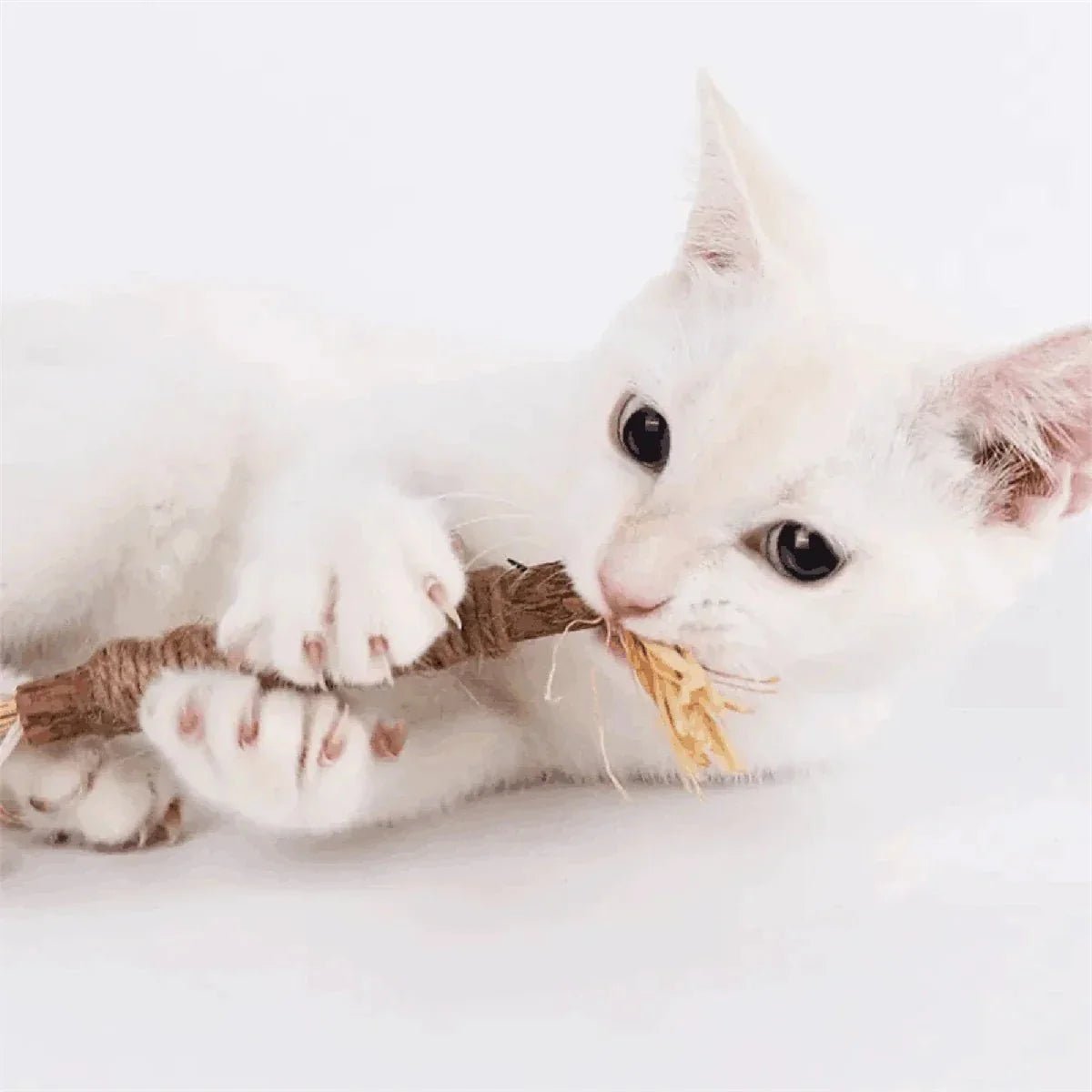 Bâton à mâcher pour chat - PurrStick™ - Chat Plaisir
