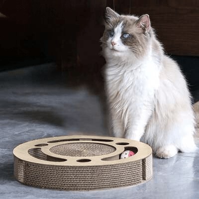 Grattoir Chat - PurrRoundScratcher™ - Minimaliste - Chat Plaisir