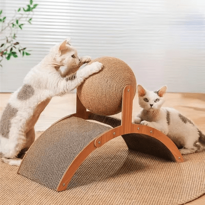 Griffoir pour Chat - Scratch&PlayCatBoard™ - Arc - Chat Plaisir