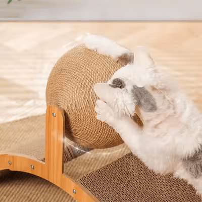 Griffoir pour Chat - Scratch&PlayCatBoard™ - Arc - Chat Plaisir