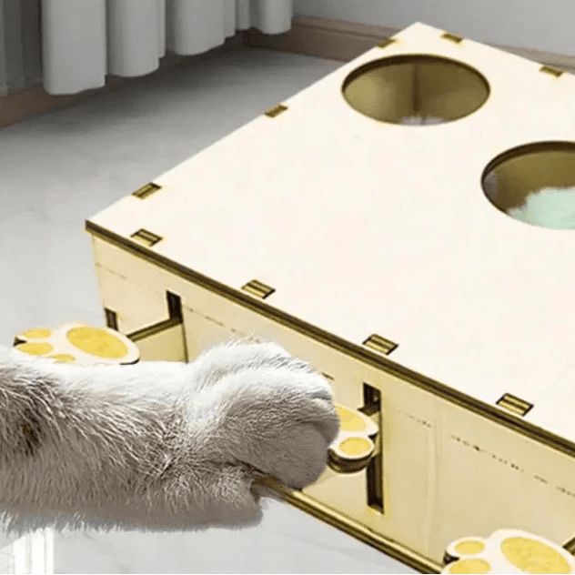 Jouet Interactif Chat - CatWhack™ - Chat Plaisir