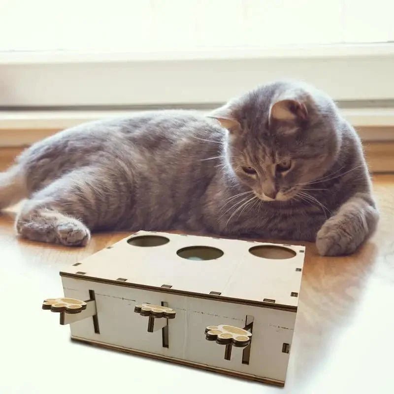 Jouet Interactif Chat - CatWhack™ - Chat Plaisir