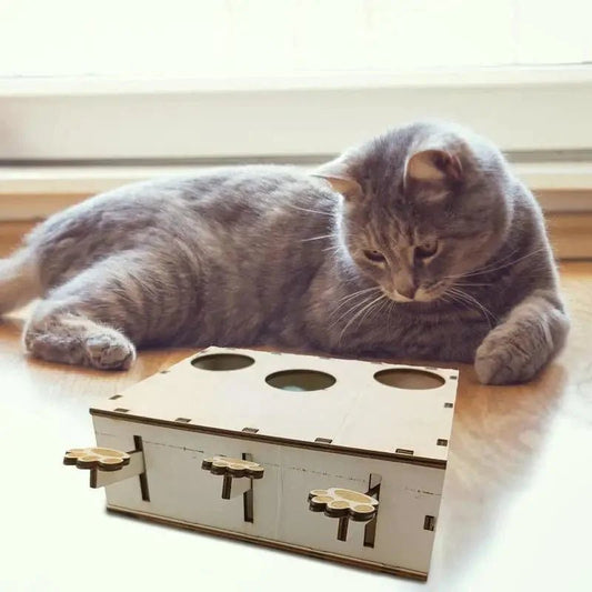 Jouet Interactif Chat - CatWhack™ - Chat Plaisir