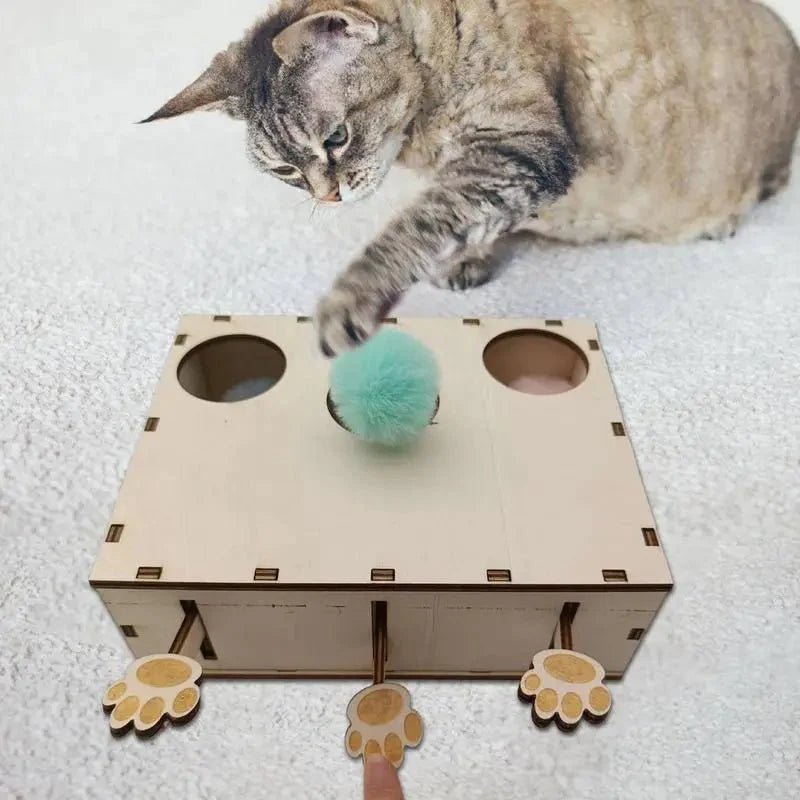 Jouet Interactif Chat - CatWhack™ - Chat Plaisir