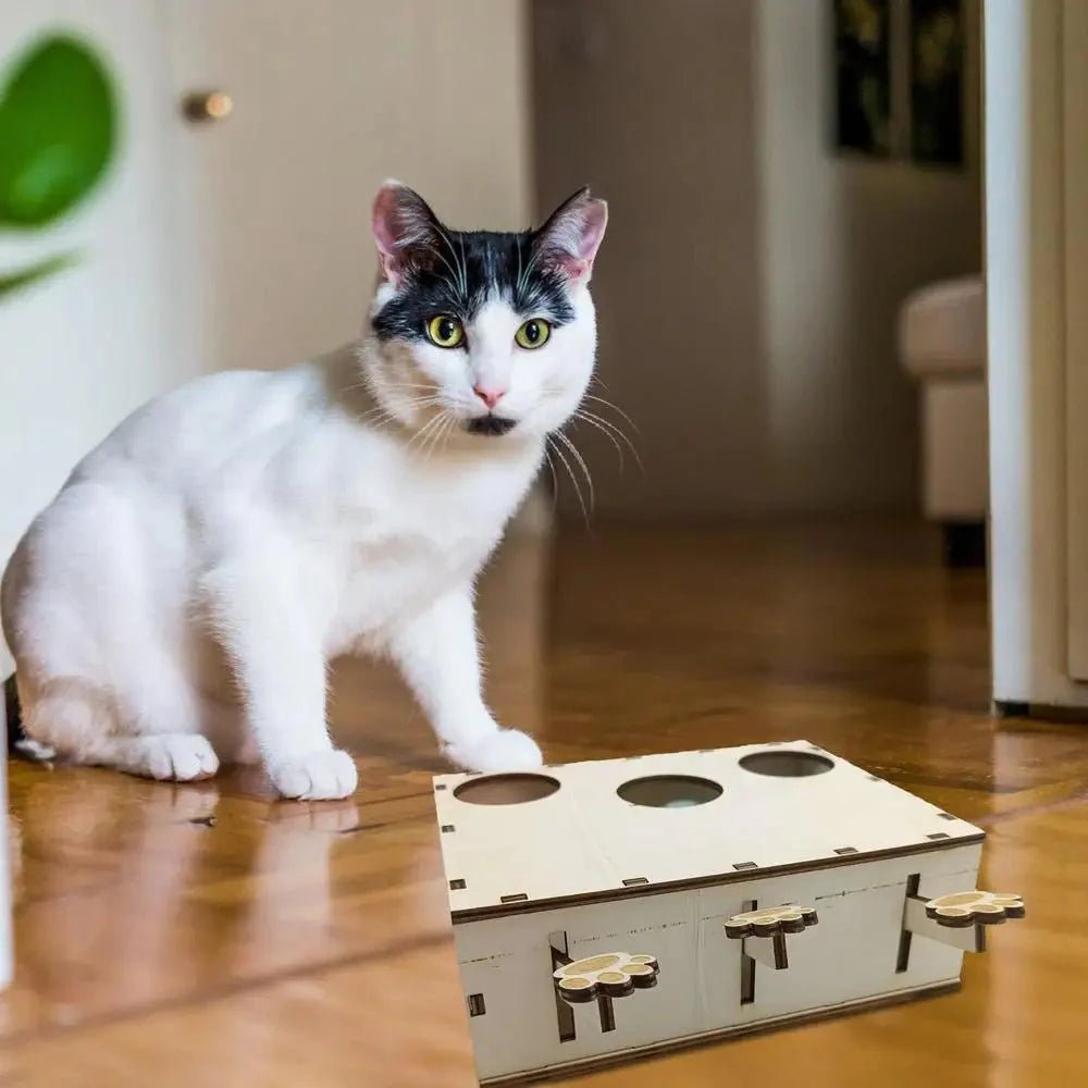 Jouet Interactif Chat - CatWhack™ - Chat Plaisir