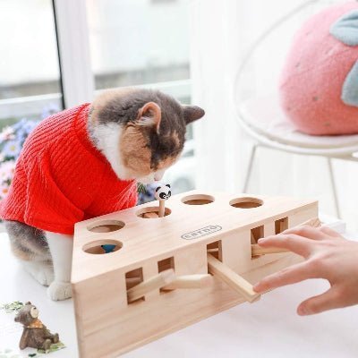 Jouet Interactif Chat - PawHunter™ - 5 Trous - Chat Plaisir