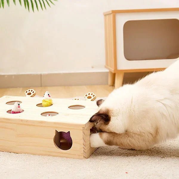 Jouet Interactif Chat - WoodMole™ - Chat Plaisir
