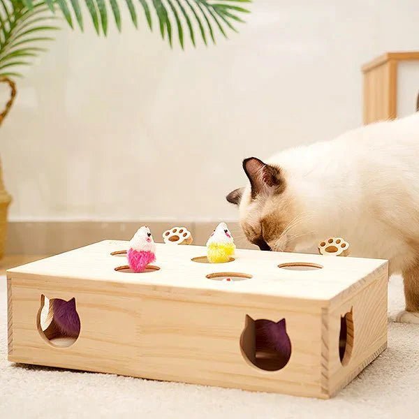 Jouet Interactif Chat - WoodMole™ - Chat Plaisir