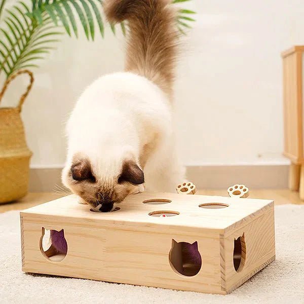 Jouet Interactif Chat - WoodMole™ - Chat Plaisir