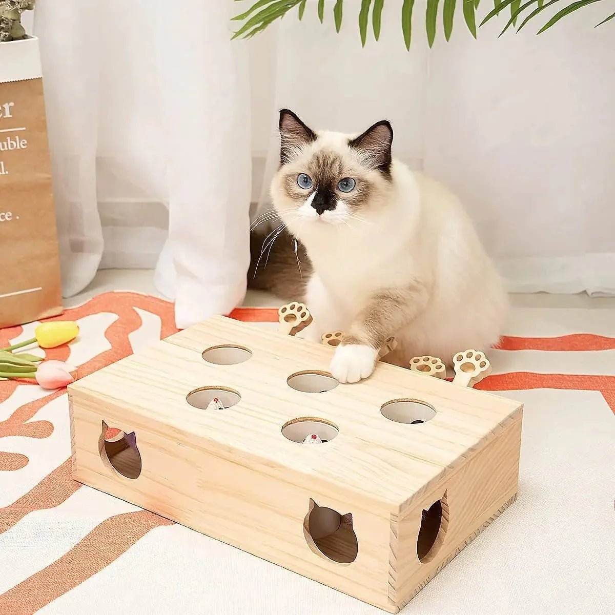 Jouet Interactif Chat - WoodMole™ - Chat Plaisir