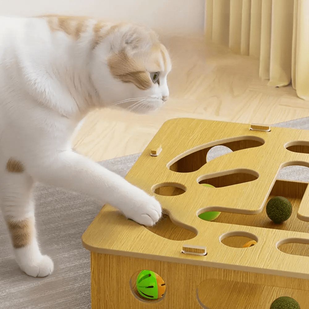 Jouet pour chat - CatPuzzleToy™ - Chat Plaisir