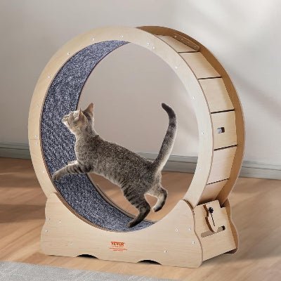 Roue Chat - KittyTread™ - Beige - Chat Plaisir