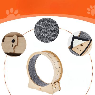 Roue Chat - KittyTread™ - Beige - Chat Plaisir