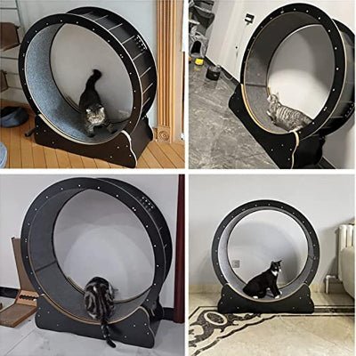 Roue Chat - KittyTread™ - Noir - Chat Plaisir